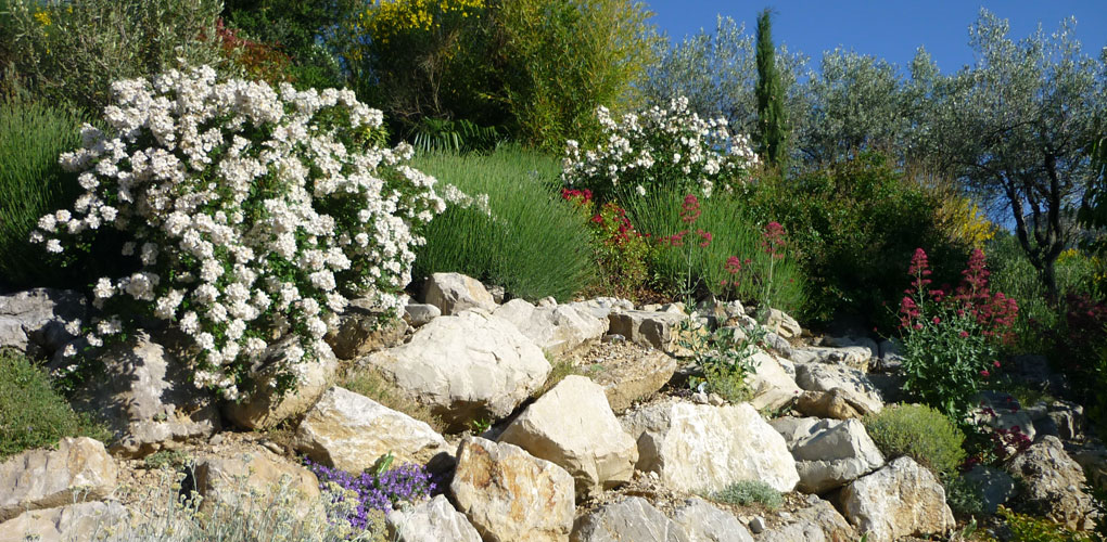 jardin vaison